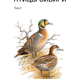 Птицы Сибири. Справочник