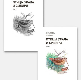 Птицы Урала и Сибири
